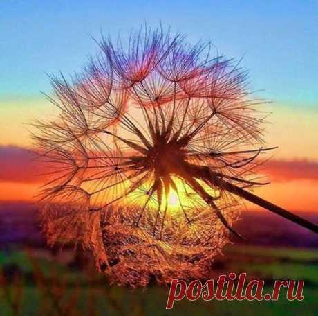 Симоронские одностишия, которые меняют ваши вибрации! И поднимают настроение - Домохозяйки - медиаплатформа МирТесен Если вас настигла полоса неудач в какой-то сфере жизни, можно быстро вернуться в хорошую струю с помощью веселых симоронских аффирмаций. Они в один момент поменяют вибрации, которые вы излучаете. А как известно - что излучаем, то и получаем. Соответственно, начнете получать больше хорошего в