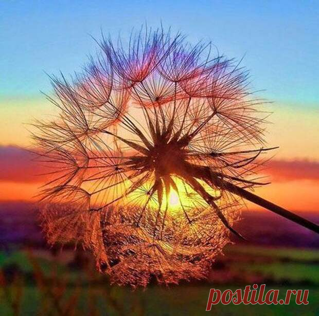 Симоронские одностишия, которые меняют ваши вибрации! И поднимают настроение - Домохозяйки - медиаплатформа МирТесен Если вас настигла полоса неудач в какой-то сфере жизни, можно быстро вернуться в хорошую струю с помощью веселых симоронских аффирмаций. Они в один момент поменяют вибрации, которые вы излучаете. А как известно - что излучаем, то и получаем. Соответственно, начнете получать больше хорошего в