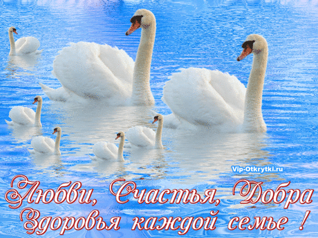 Семейная гармония | Музыкальные Открытки Бесплатно