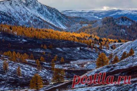 Южно-Чуйский хребет. Горный Алтай. Автор фото — Tomski: nat-geo.ru/photo/user/19753/  |  National Geographic Россия