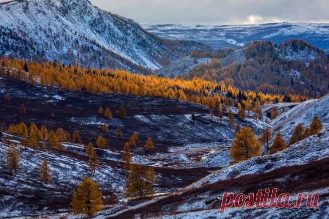 Южно-Чуйский хребет. Горный Алтай. Автор фото — Tomski: nat-geo.ru/photo/user/19753/  |  National Geographic Россия