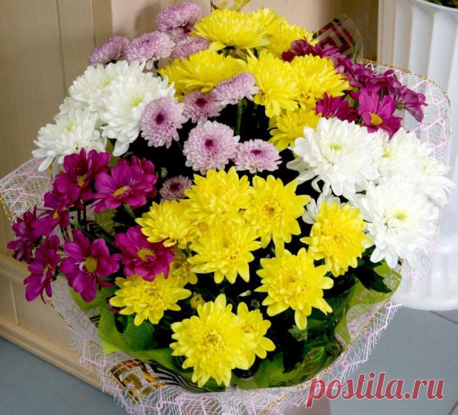 img__2062.jpg (900×815)