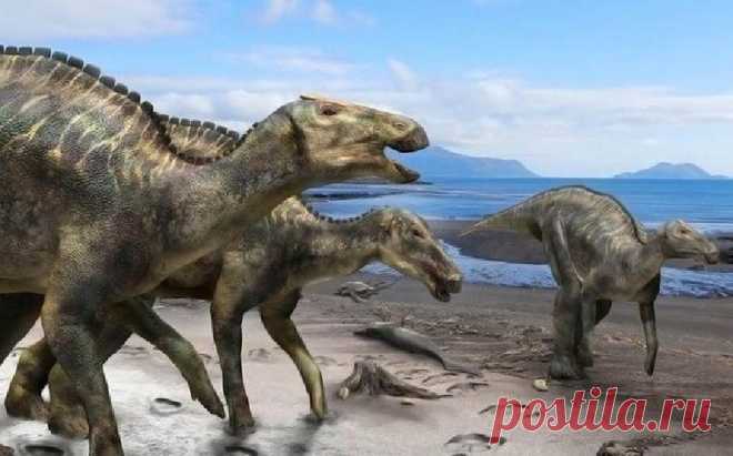 В Японии найден новый вид утконосых динозавров: «Божественный ящер» | Живой мир - природа