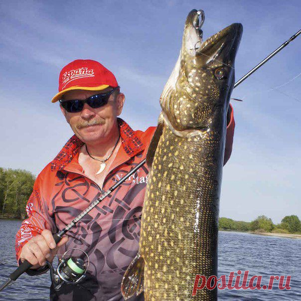 Лето, ах лето... / Богатая добыча