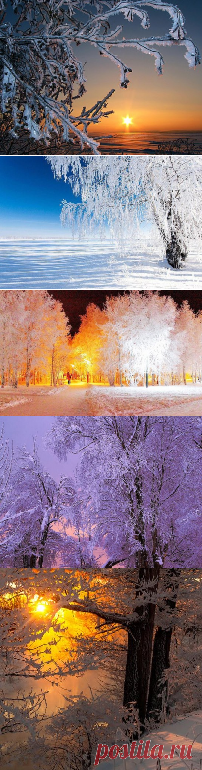 (27) Одноклассники