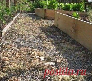 Как уничтожить сорняки без гербицидов