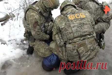 ФСБ задержала в ДНР группу наркоторговцев. В Донецкой народной республике (ДНР) ФСБ и МВД России задержали группу наркоторговцев. Граждане организовали сбыт наркотиков в крупном размере в городе Енакиево. В ходе обысков силовики задержали участников преступного сообщества, обнаружили и изъяли свыше двух килограмм каннабиса.
