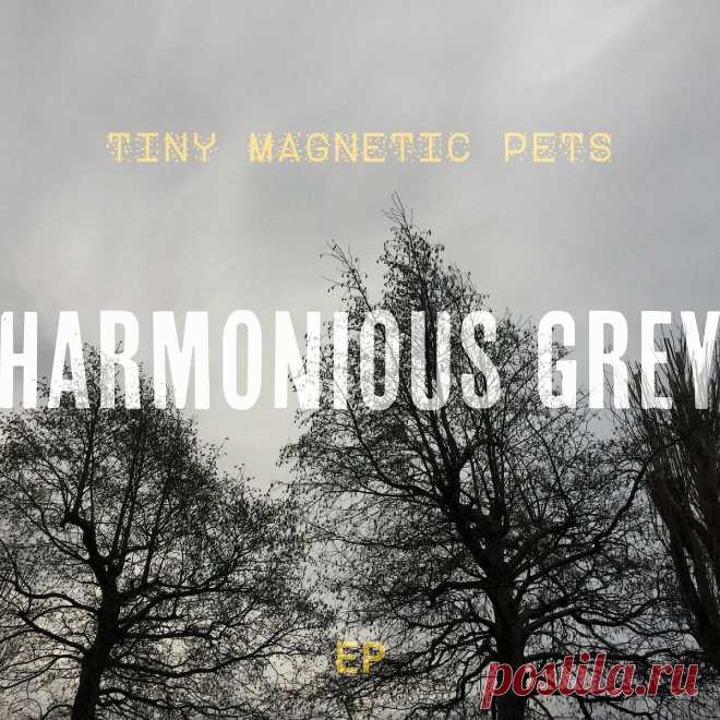 Tiny Magnetic Pets - Harmonious Grey (EP) (2025) 320kbps / FLAC