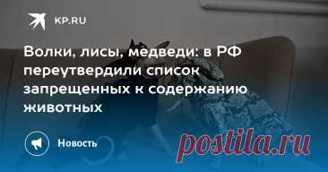 13-5-25--ПРАВИТЕЛЬСТВО РФ-МИШУСТИН--Волки, лисы, медведи: в РФ ПЕРЕУТВЕРДИЛИ список запрещенных к содержанию животных