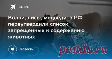 13-5-25--ПРАВИТЕЛЬСТВО РФ-МИШУСТИН--Волки, лисы, медведи: в РФ ПЕРЕУТВЕРДИЛИ список запрещенных к содержанию животных
