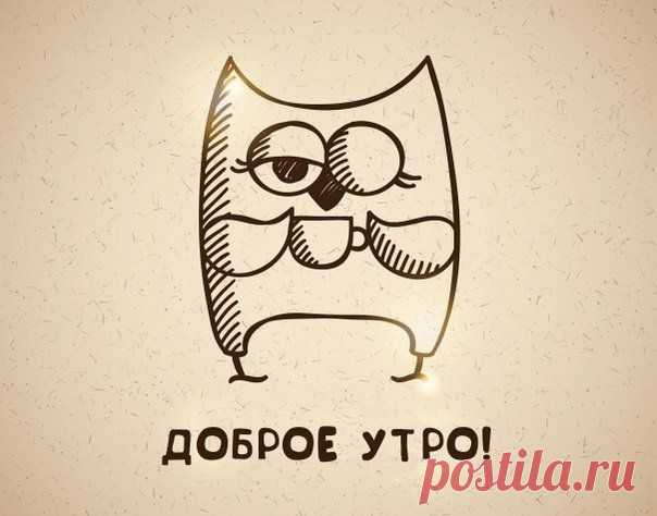Как совам без проблем вставать по утрам | Хитрости жизни