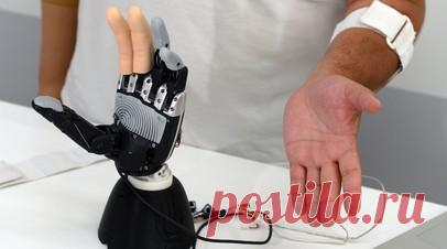 Пострадавшему при взрыве в Красногорске мальчику установят протез. Десятилетнему мальчику, который лишился пальцев при детонации взрывного устройства в Красногорске, проведут протезирование. Читать далее