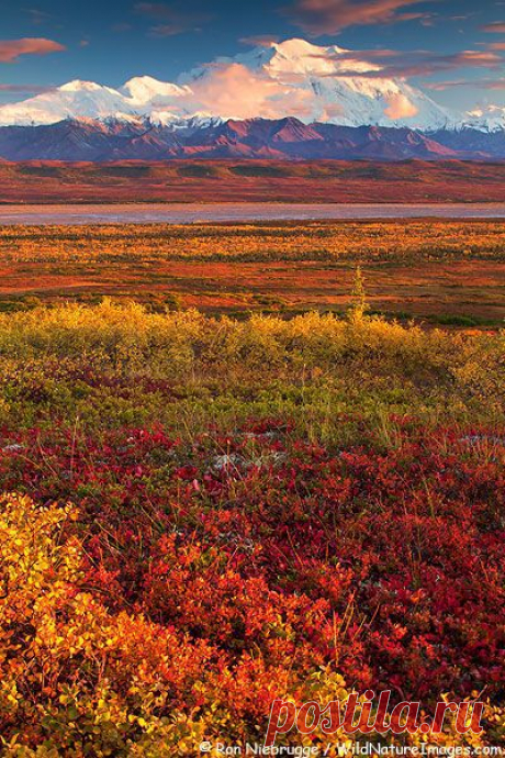 Denali National Park, Alaska: Discover and save creative ideas