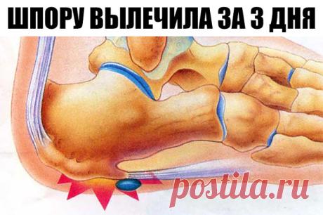 Одноклассники