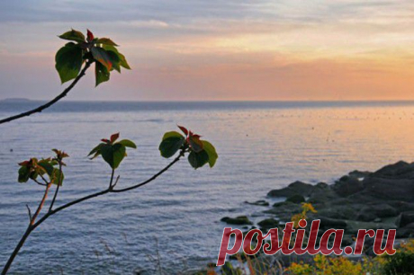 Желтое море.