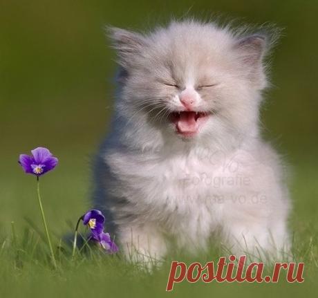 Новые фотографии