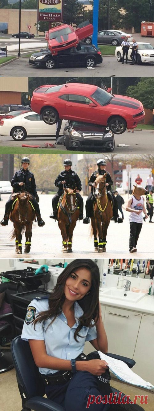 Фото-приколы вечерней пятницей (49 шт)