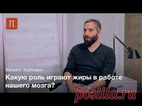 Эволюция липидного состава мозга - ПостНаука