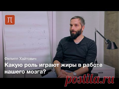Эволюция липидного состава мозга - ПостНаука