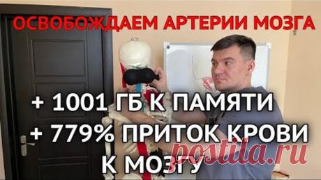 Увеличил приток крови к мозгу в 799 раз и память на 1000 ГБ. Убери спазм сосудов мозга своими руками