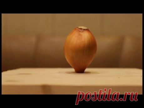 Подготовка к посадке семейного лука - YouTube