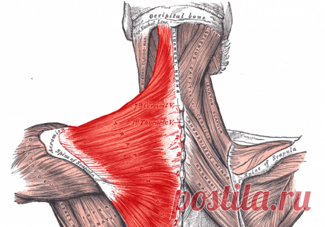 ТЕЛО ПОМНИТ ВСЕ: куда деваются все ваши переживания ! Врачи-ортопеды утверждают, что ЭТИ СОВЕТЫ и правда работают