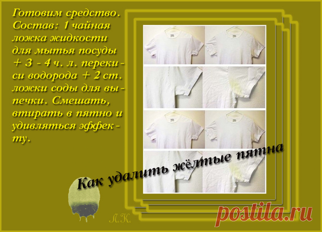 пятна.jpg
