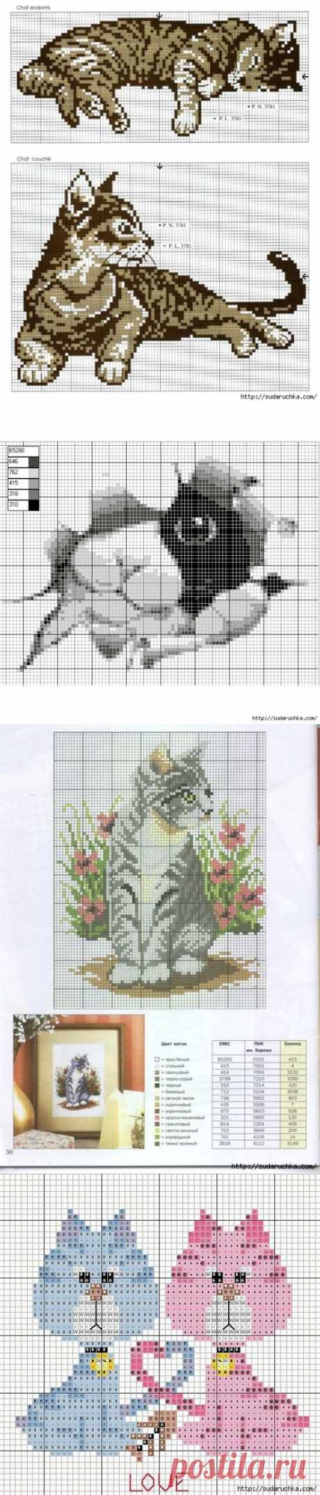 Кошки. Вышивка крестом.