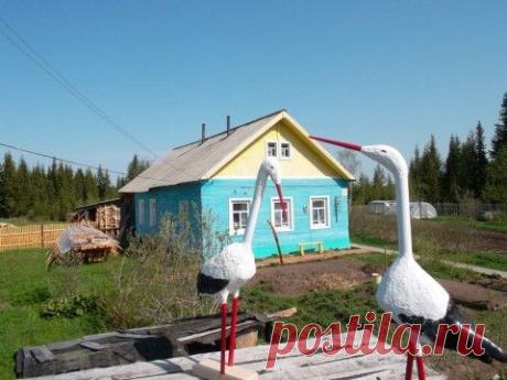 Птицы у домика в деревне.
