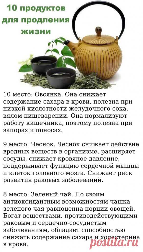 Сосновые шишки обладают большой целительной силой – они не только способствуют профилактике инсульта головного мозга, но способны поднять парализованного больного на ноги. В шишках содержится много веществ благотворно влияющих на сердечно- сосудистую систему, улучшающих циркуляцию крови, насыщающие ее кислородом и предотвращающих тромбы. Кроме того препараты из шишек очищают стенки сосудов, избавляют их от уже образовавшихсясклеротических бляшек. – ПОЛЕЗНАЯ ГРУППА
