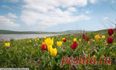 (3) Facebook