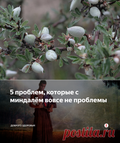 5 проблем, которые с миндалём вовсе не проблемы | Доброго здоровья! | Яндекс Дзен