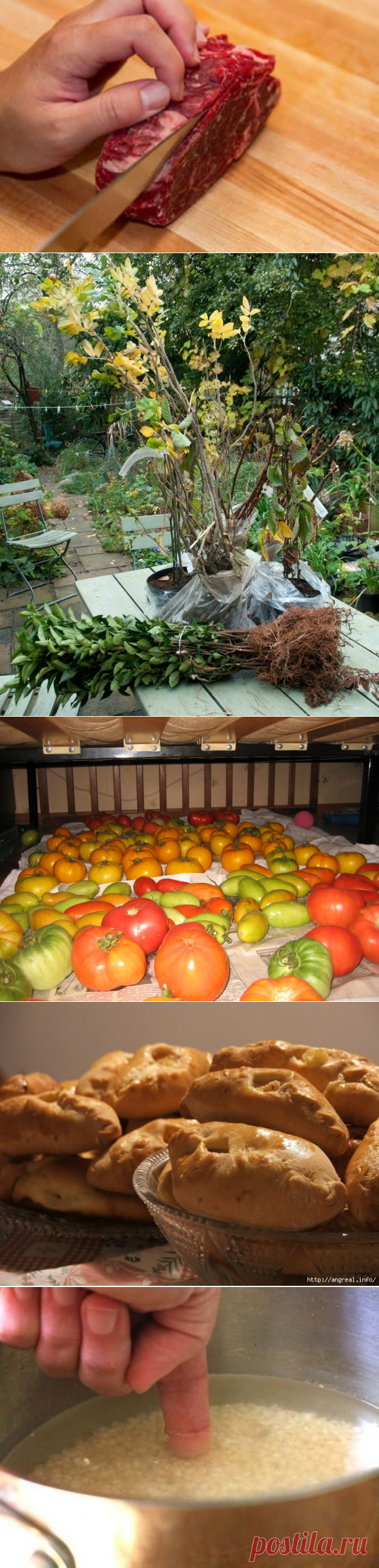 11 бесподобных кухонных хитростей