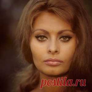 Сегодня день рождения итальянской королевы красоты — Софи Лорен! - МирТесен