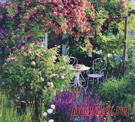 Клумба - красивая круглый год