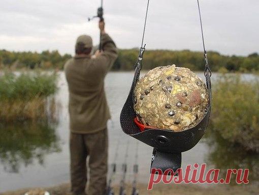 Карась и прикормка - Охота и рыбалка - медиаплатформа МирТесен