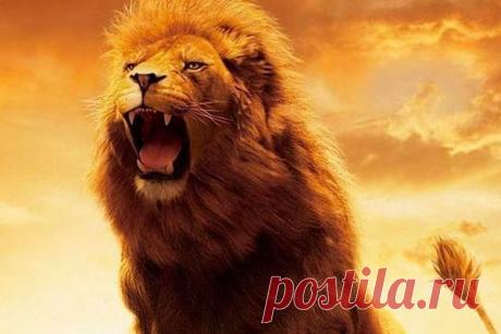 4 самых могущественных знака Зодиака и их тайные силы