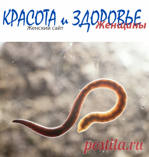 Что такое гельминтоз? Симптомы и методы лечения патологии