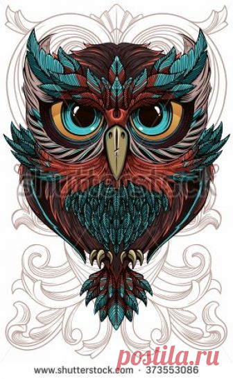Owl Fotos, imágenes y retratos en stock | Shutterstock