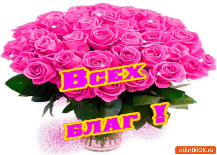 Всех благ вам