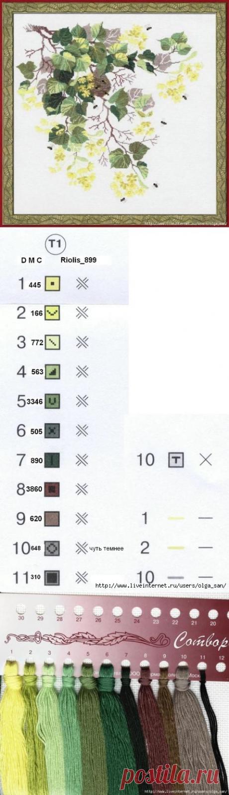 Цветущая липа.