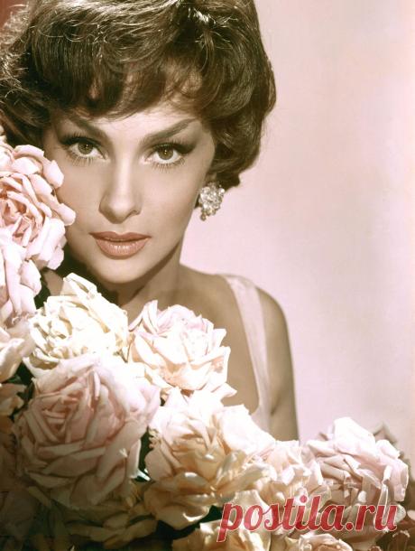 Gina Lollobrigida