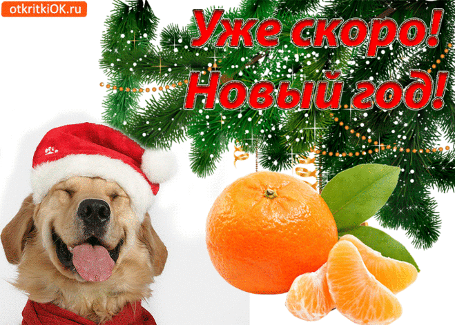 Уже скоро! Новый год! — Полезные советы