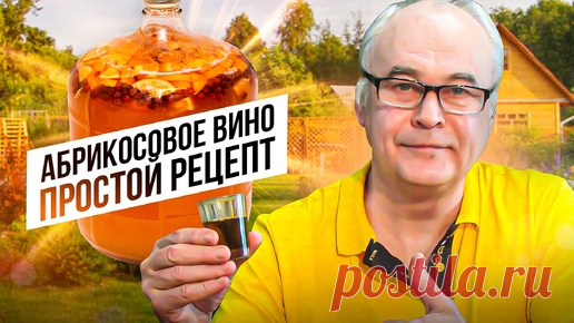 Абрикосовое вино. Вино из абрикосов - простой пошаговый рецепт. Apricot wine. | Самогон Саныч | Дзен