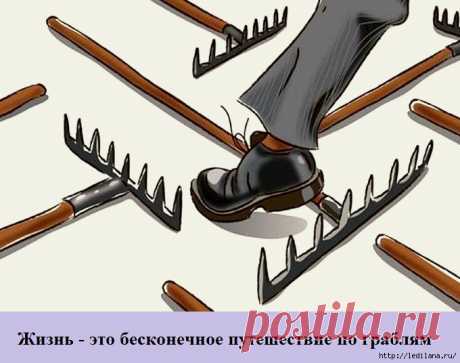 Грабли жизни: цитаты, высказывания, афоризмы
