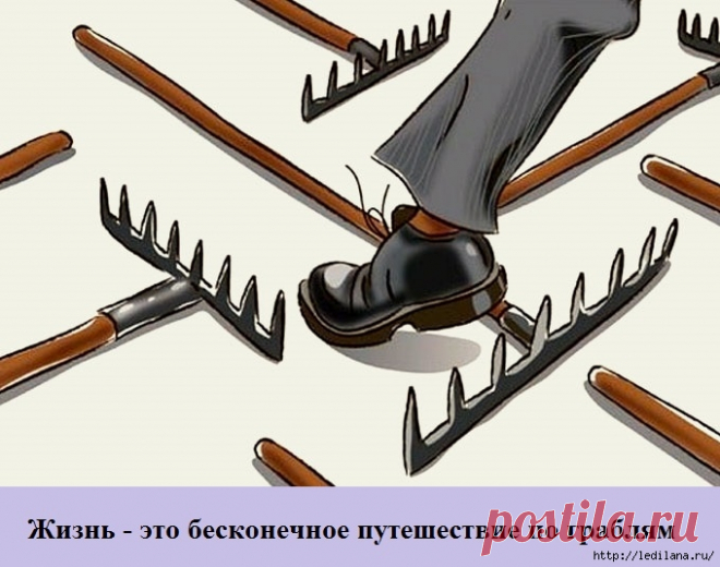 Грабли жизни: цитаты, высказывания, афоризмы