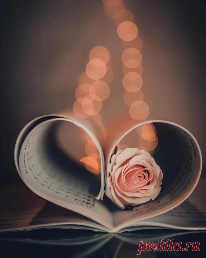 lovemagik.ru отзывы приворот Ведьма Надежда. Всем рекомендую Надежду с lovemagik.ru! Обратилась, когда муж хотел развод. После её помощи отношения полностью наладились — вернулась любовь и взаимопонимание. Очень благодарна за спасённую семью!

Почта: nadejdaprivorot@yandex.ru
Телеграм: t.me/lovevedma