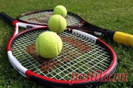 Стратегия ставок на теннис - В мире ставок On-bet