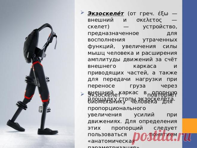 Экзоскелет