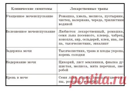 Travy.jpg (Изображение JPEG, 554 × 380 пикселов)